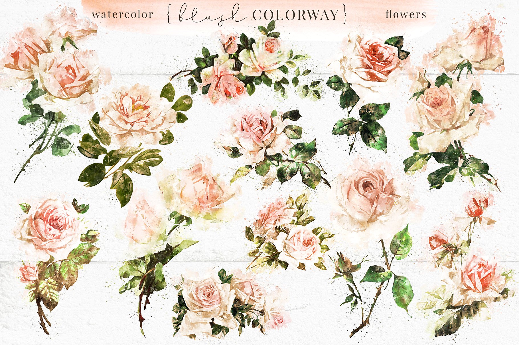 古典风格玫瑰/树叶/装饰字母/花环和花束剪贴画合集 Farmhouse Watercolor Flowers插图(8)