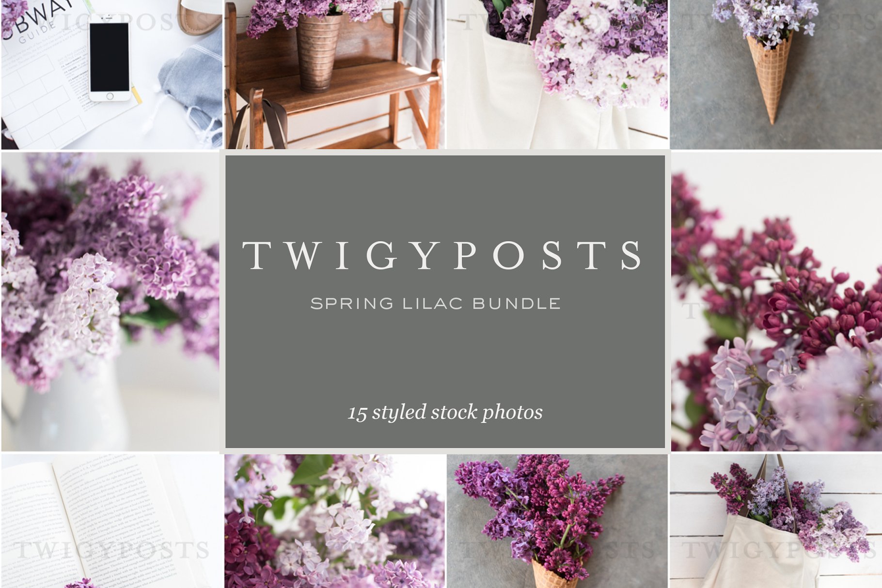 春天丁香花场景样机 Spring Lilac Stock Photos插图