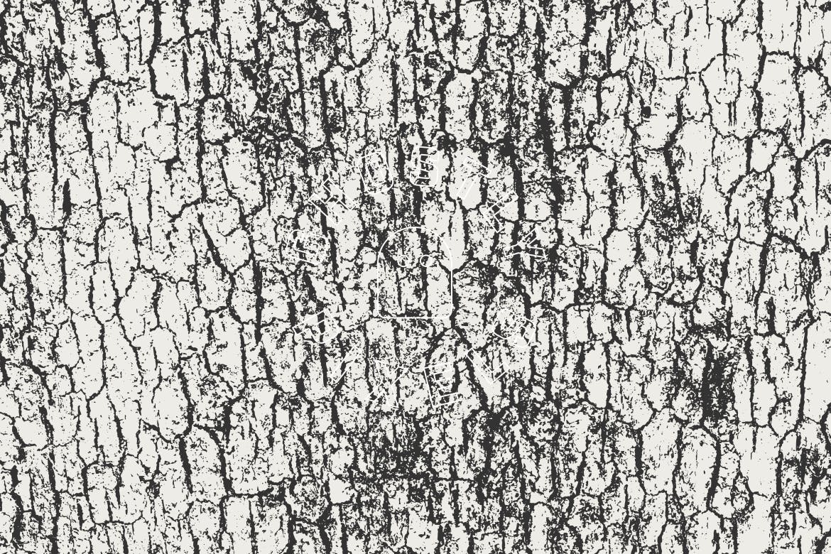5款逼真树皮纹理肌理矢量背景素材 Tree Bark Textures插图(5)