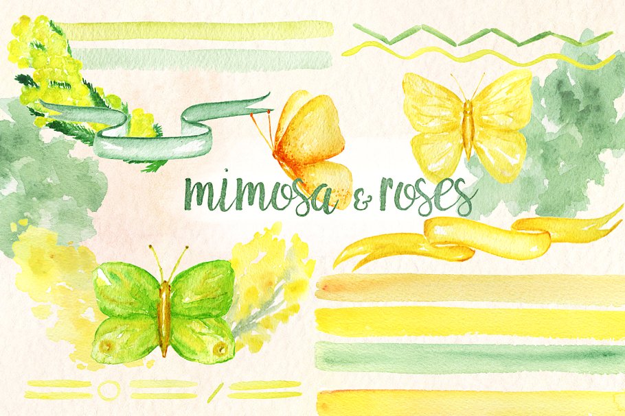 黄色含羞草&蔷薇花水彩插画素材 Mimosa & roses  yellow flowers插图(7)