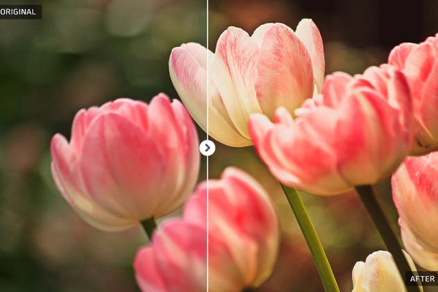 春季风景人像照片后期处理LR调色滤镜 Spring Lightroom Presets插图(10)