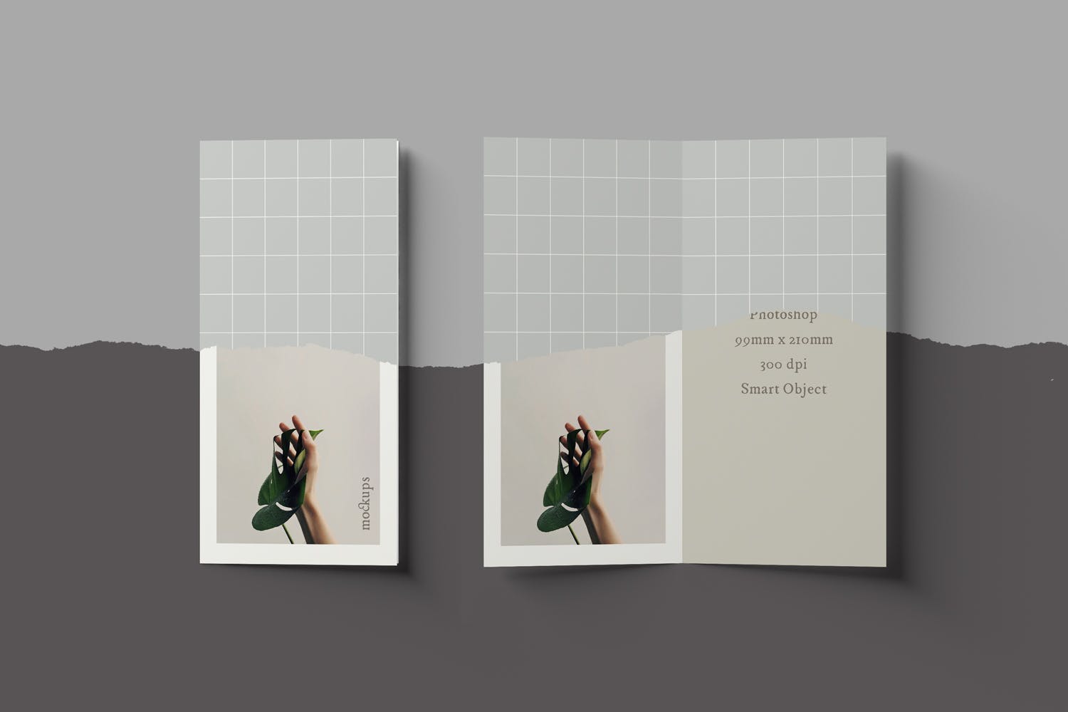 优雅设计风格折页宣传册设计图样机模板 Bifold DL Brochure Mockups插图(6)