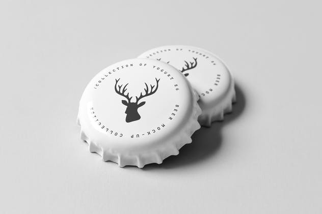啤酒包装外观设计展示样机模板 Beer Mock-up 5插图(6)