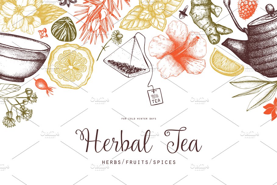 各种茶成分茶元素矢量 Vector Tea Ingredients Collection插图