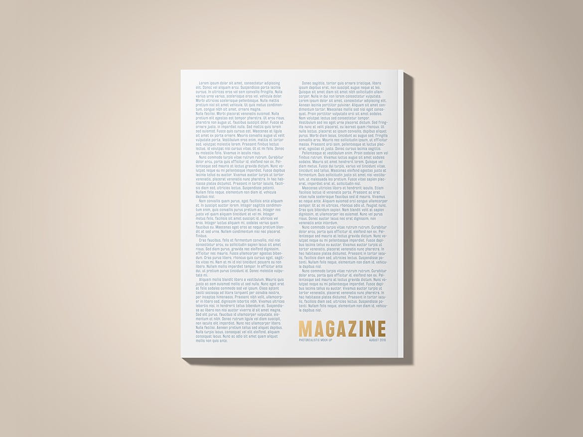 铝箔压印技术美国尺寸标准杂志设计图样机 US Letter Foil Stamping Magazine Mock-Up插图(7)