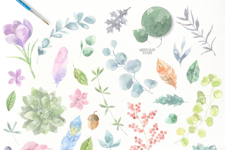 水彩植物插画合集 Floristic Watercolor Collection Pro插图(3)