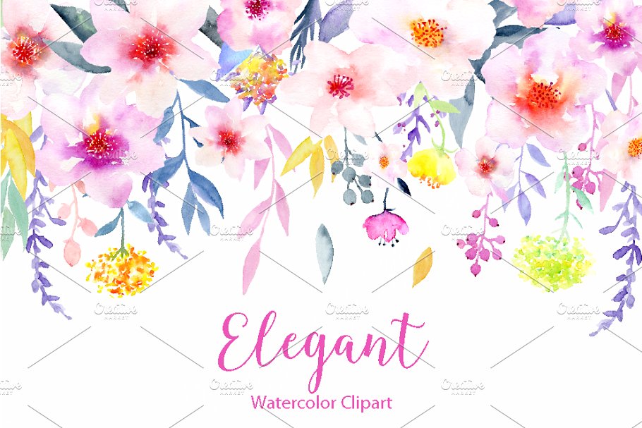 水彩花卉精品图案素材 Watercolor Flower Clipart Elegant插图