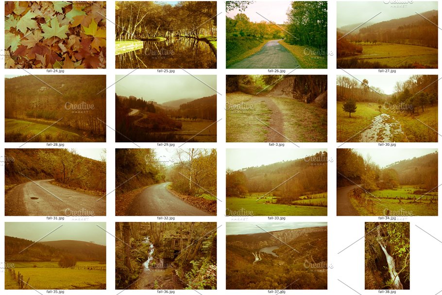 “秋天来了，树叶黄了”-秋天主题高清照片素材 Fall / Autumn photo pack插图(2)