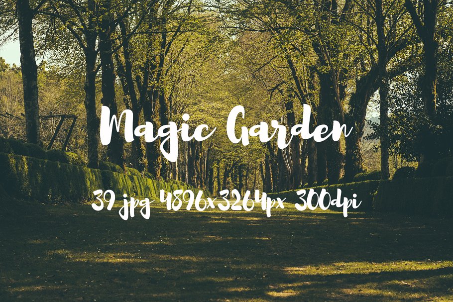 秘密花园花卉植物高清照片素材 Magic Garden photo pack插图(21)