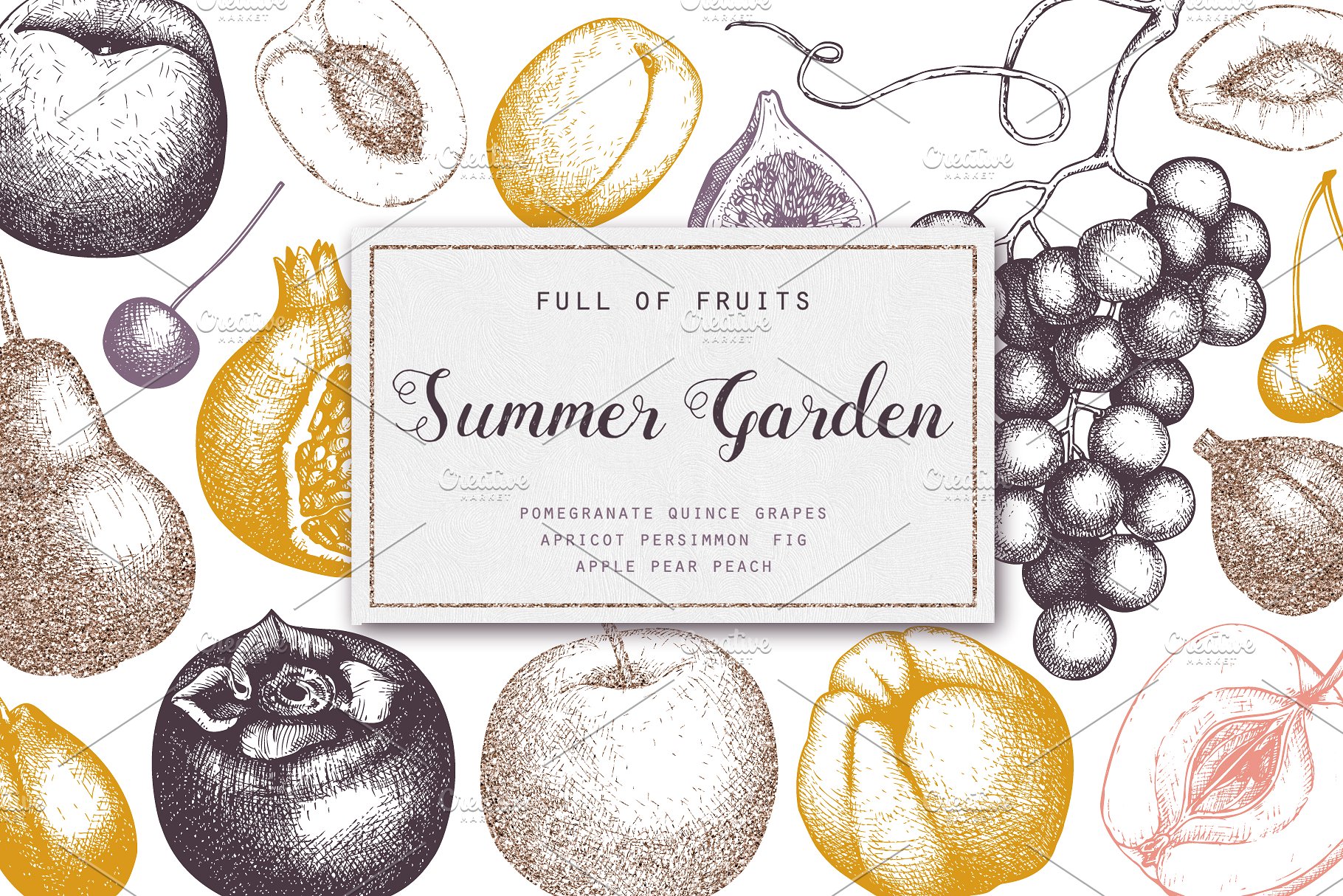 复古葡萄园插画素材合集 Vintage Set of Garden Fruits插图