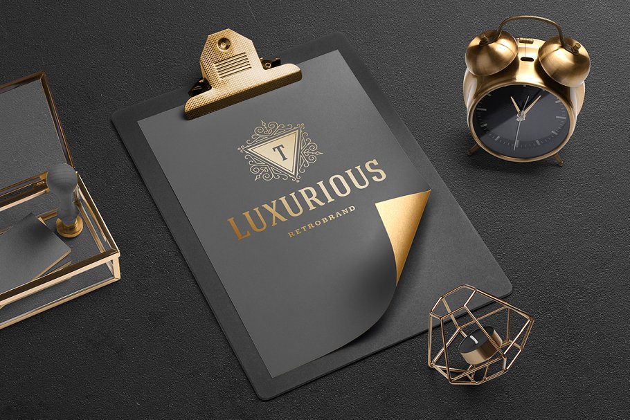 华丽复古感金箔奢侈品牌logo设计 Luxury ornament logo插图(6)