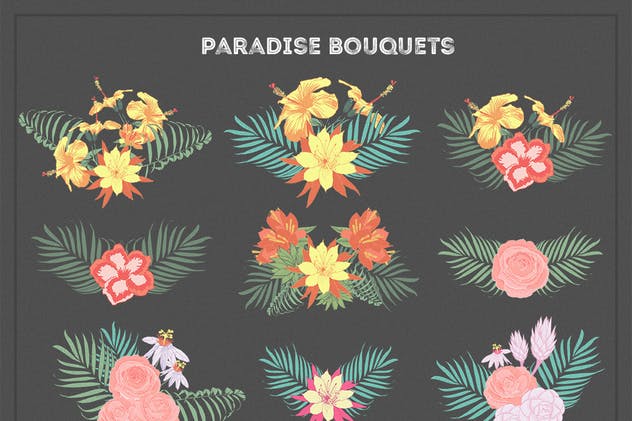 热带花卉和花束手绘插画素材 Paradise Flowers插图(3)