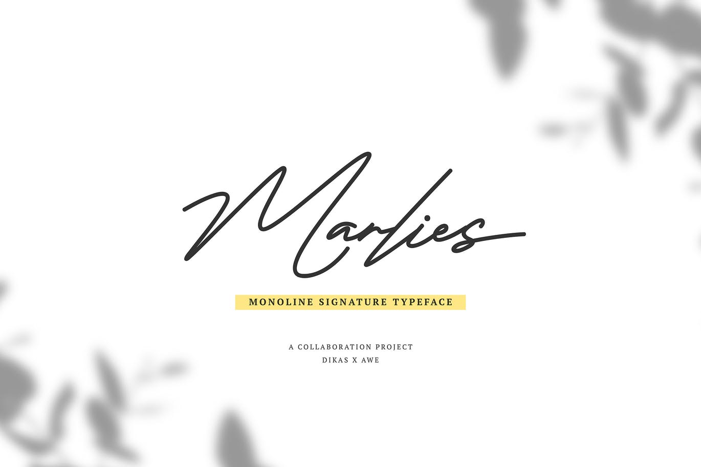 Monoline风格英文钢笔签名字体 Marlies Monoline Signature插图