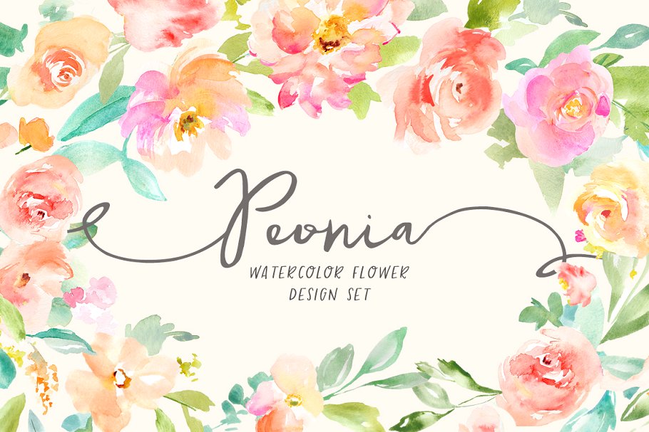 水彩花卉插画素材套装 Peonia Watercolor Flowers Set插图