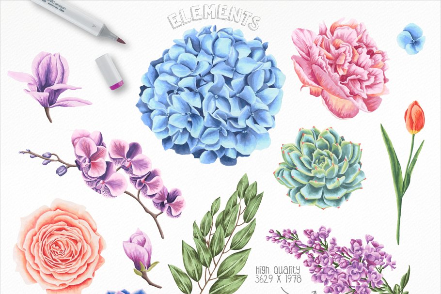 高质素记号笔手绘花卉素材[元素+纹理+花饰框] Flower Power Marker Collection Pro插图(1)