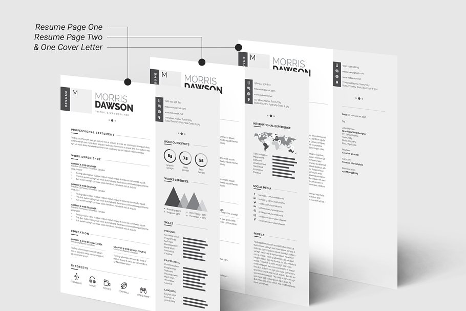 高端创意信息图表简历模板 Clean Infographic Resume/CV插图(1)