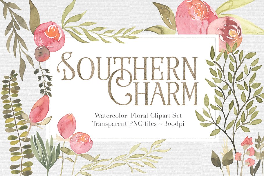 水彩手绘粉色调搭配花卉剪贴画 Southern Charm Floral Clipart Set插图