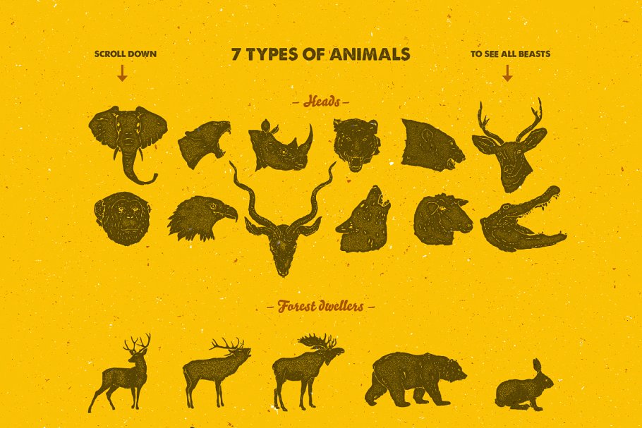 58种手绘动物矢量图形合集 58 Hand Drawn Animal Pack插图(2)