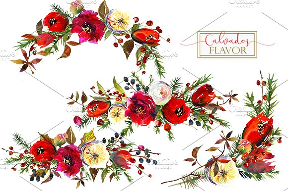 冬季红色水彩花卉剪贴画合集 Red Winter Flowers Clipart Set插图(20)