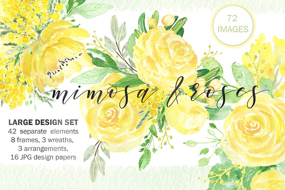 黄色含羞草&蔷薇花水彩插画素材 Mimosa & roses  yellow flowers插图(2)