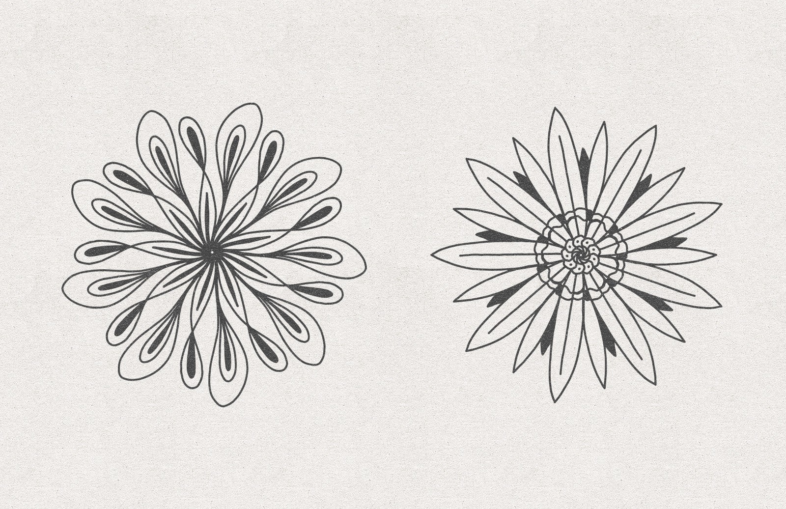 矢量花卉素材 Vector Floral Radial Illustrations [AI, SVG]插图(4)