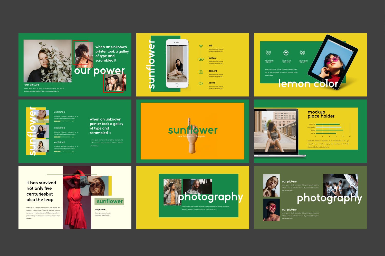 摄影工作室介绍PPT模板素材下载 Sunflowers – Powerpoint插图(8)