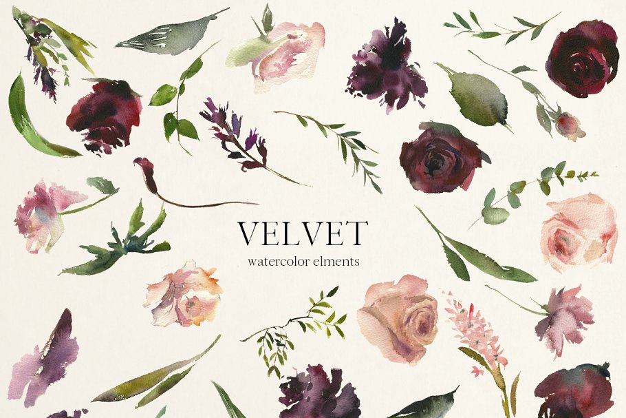 天鹅绒-水彩花卉剪贴画 Velvet – Watercolor Floral Clip Art插图(5)