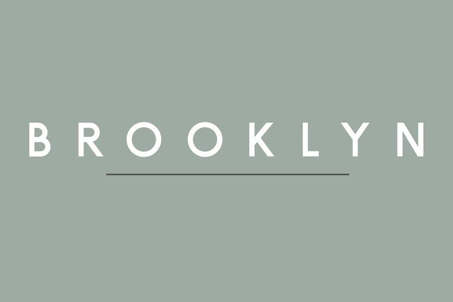 正体适合书面印刷排版的无衬线英文字体 Brooklyn | Two Weight Font Family插图