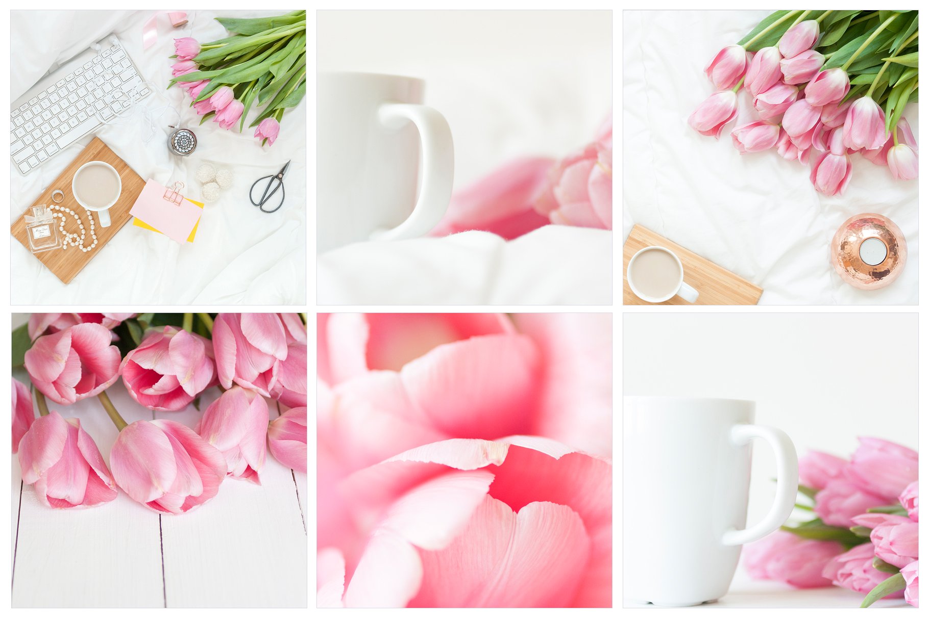 高清郁金香实物场景样机模板 Tulips Photo Bundle插图(3)