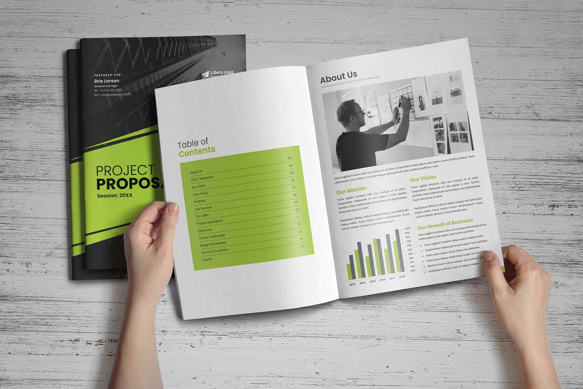 商业项目业务提案手册设计模板插图(3)