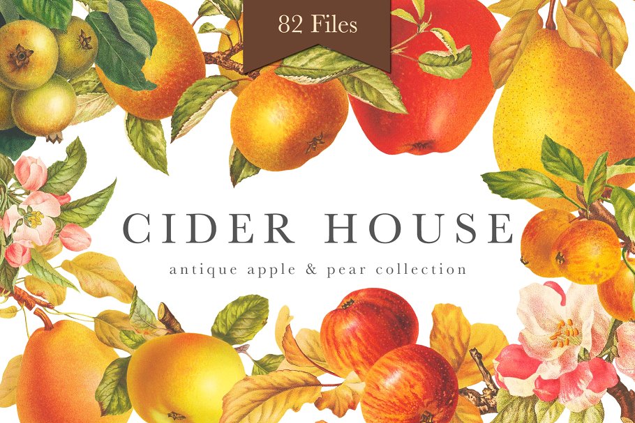 旧书水果插画素材集 Cider House Apple & Pear Graphics插图