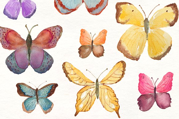 多种蝴蝶水彩剪贴画 Watercolor Butterflies插图(1)