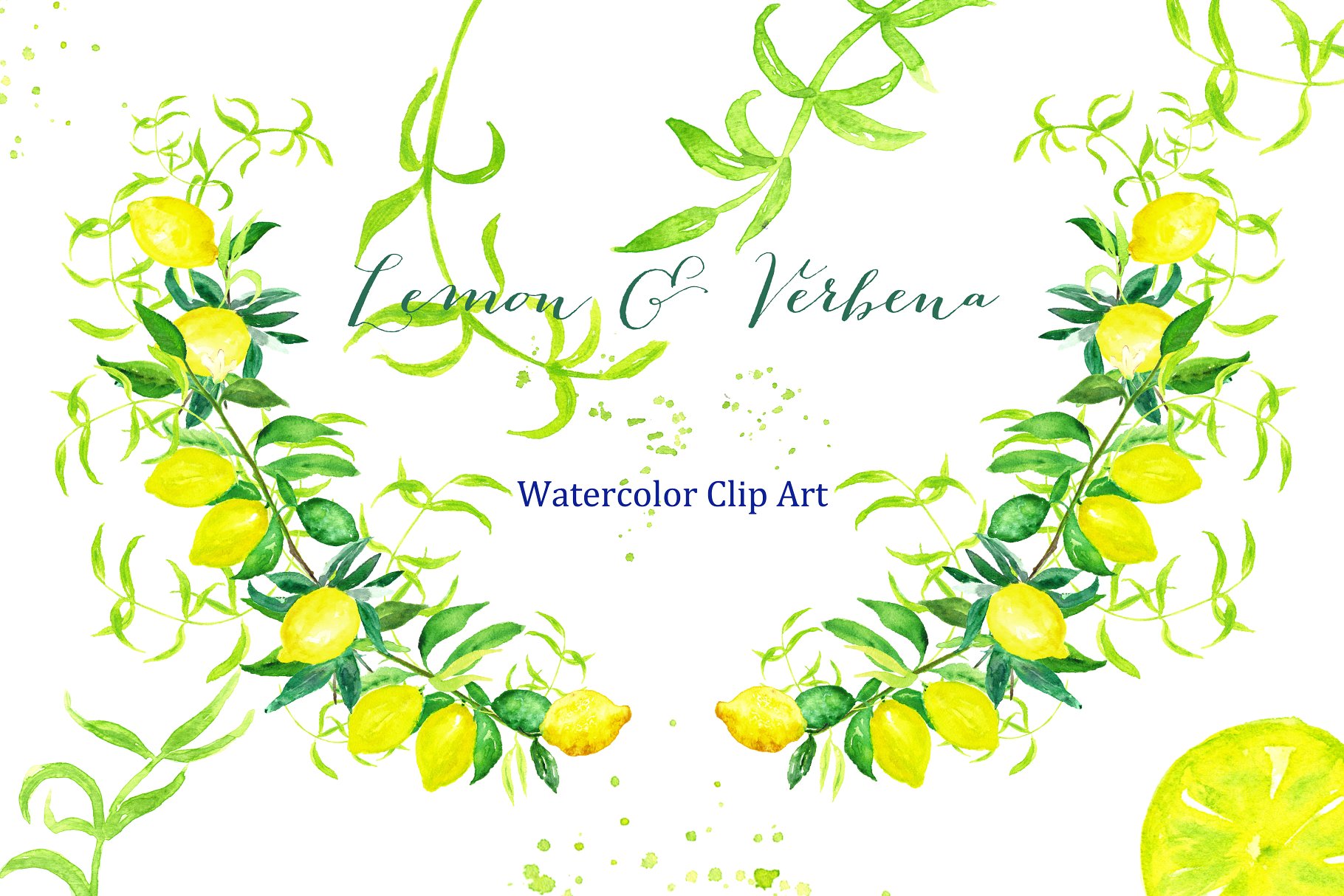 浪漫温柔的水彩柠檬马鞭草元素 Lemon & verbena. watercolors插图(1)