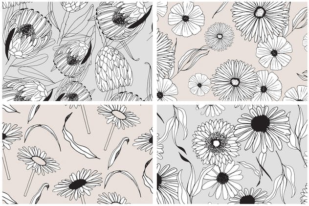 创意手绘花卉插画图案纹理素材 Graphic Flowers Patterns & Elements插图(5)