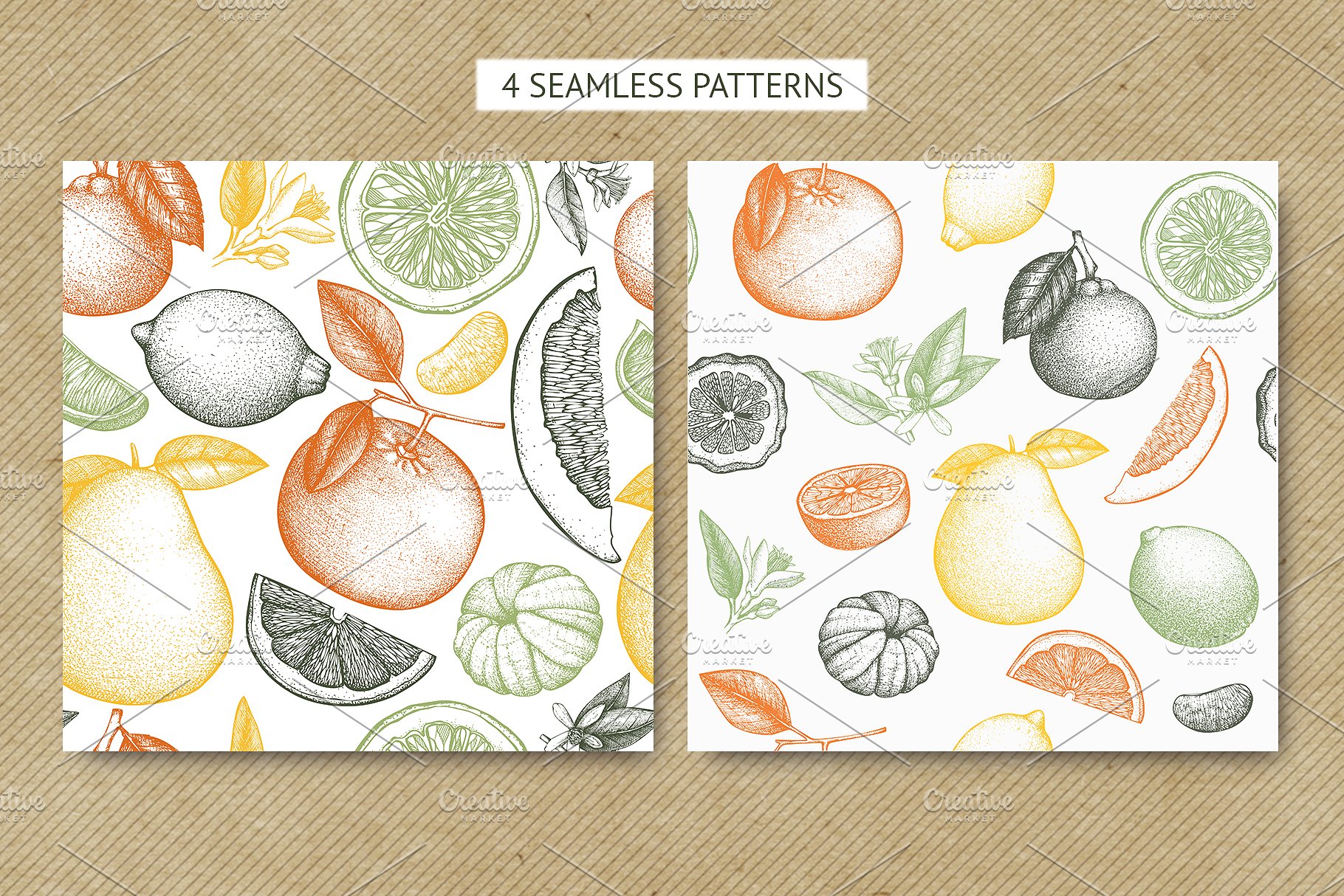 矢量柑橘水果插图 Vector Citrus Fruits Illustrations插图(6)