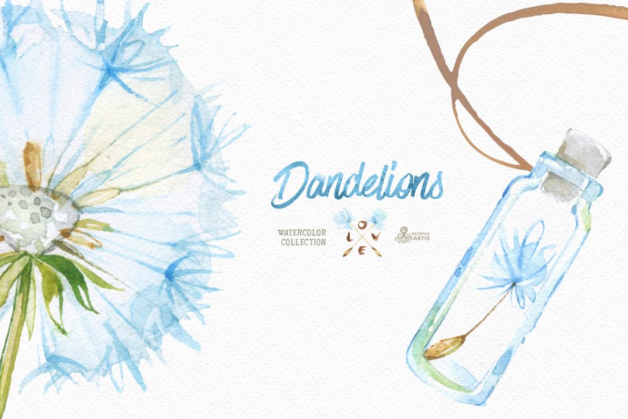 柠檬黄手绘水彩花卉插画 Dandelions. Floral Collection插图(6)