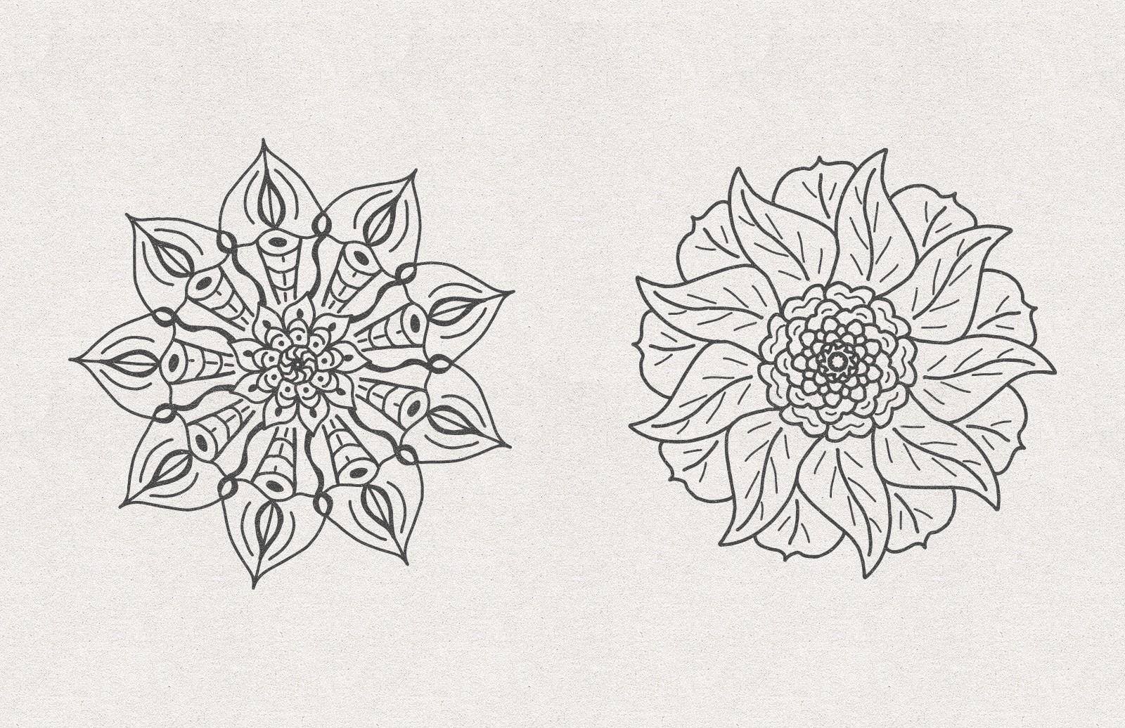 矢量花卉素材 Vector Floral Radial Illustrations [AI, SVG]插图(1)
