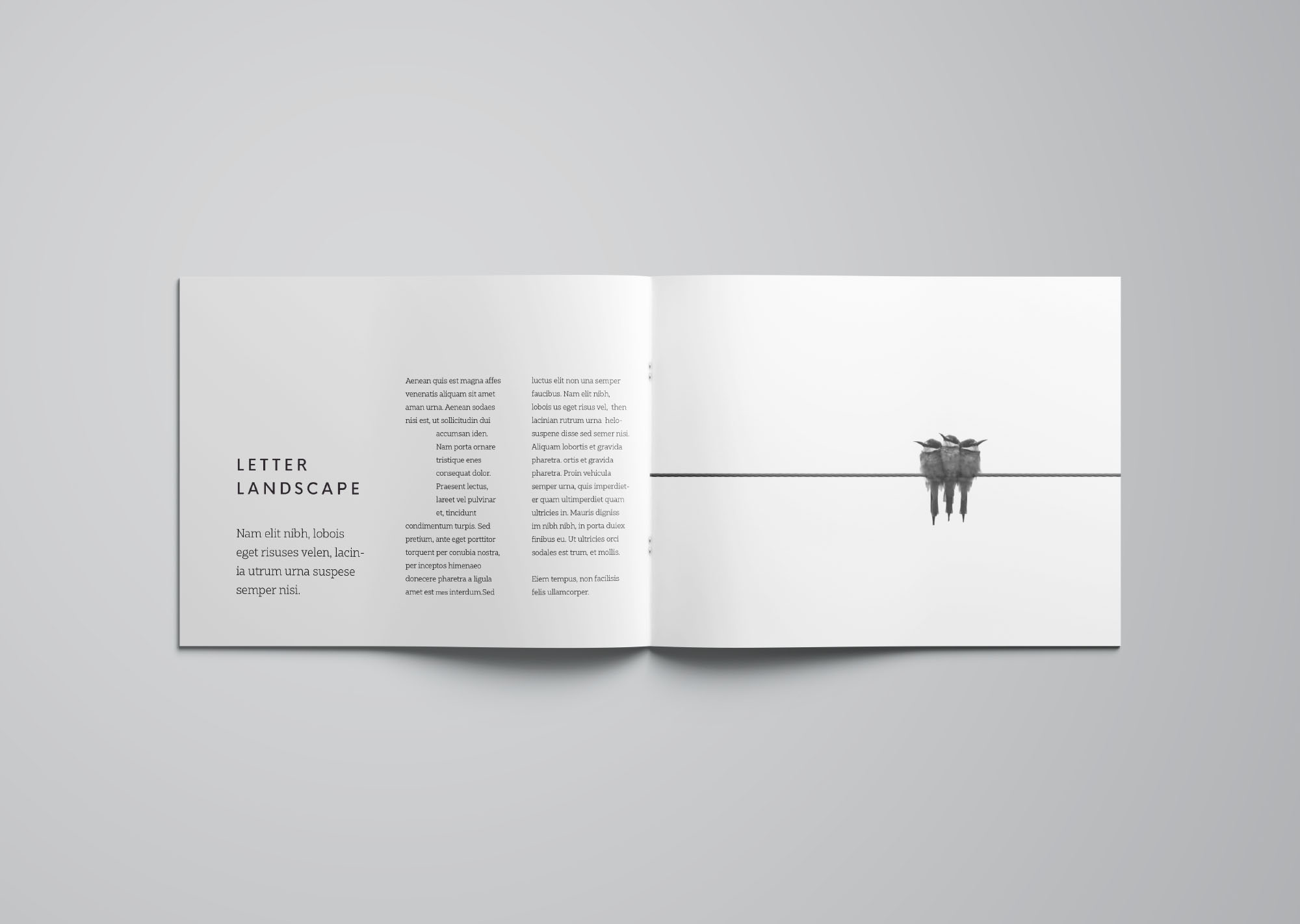 信纸尺寸规格横向小画册样机模板 Letter Landscape Brochure Mockup插图(2)
