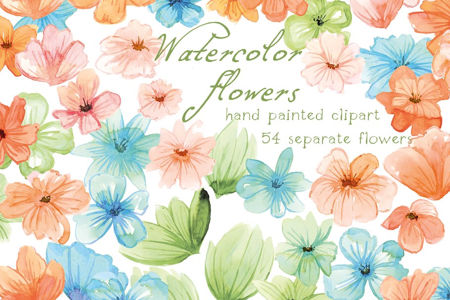 浅色调水彩花卉插画素材 Watercolor Flowers, Floral插图