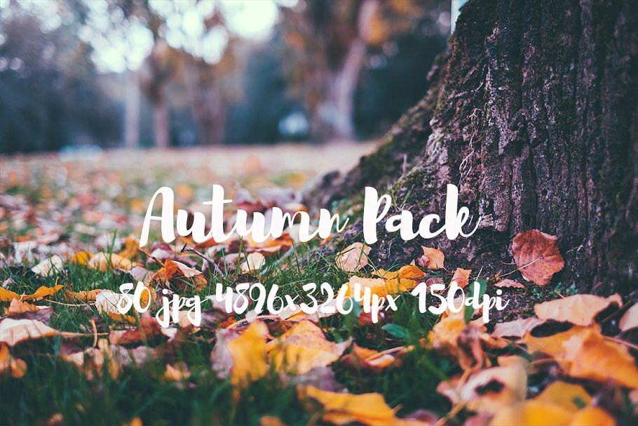 秋天主题高清风景照片素材 Autumn photo Pack插图