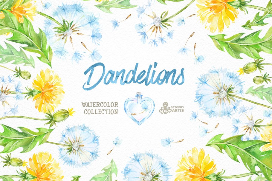 柠檬黄手绘水彩花卉插画 Dandelions. Floral Collection插图