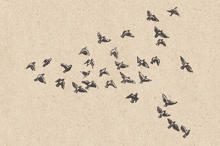 鸟群素描设计素材 Flocks of birds, sketch style插图(6)