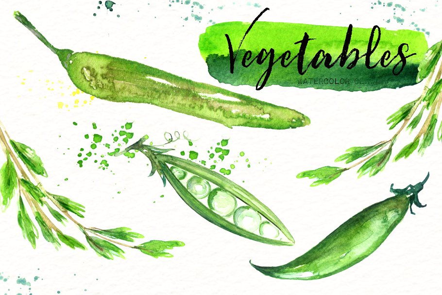 素材素食水彩剪贴画 Vegetables. Vegan Watercolor clipart插图(8)