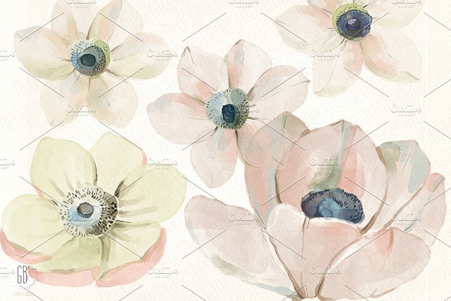 银莲花水彩剪贴画 Watercolor anemones插图(1)