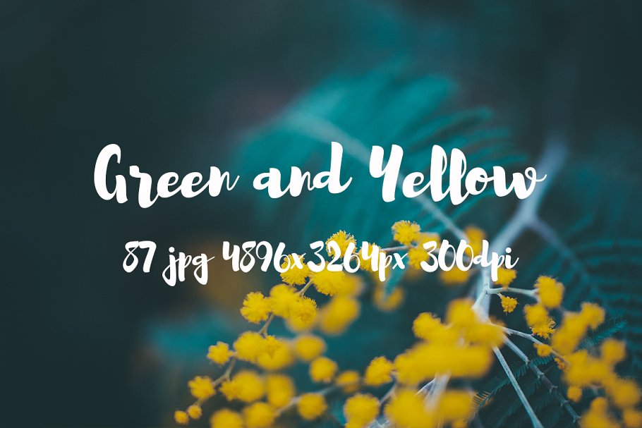 绿色和黄色植物花卉摄影照片集 Green and yellow photo pack插图(2)