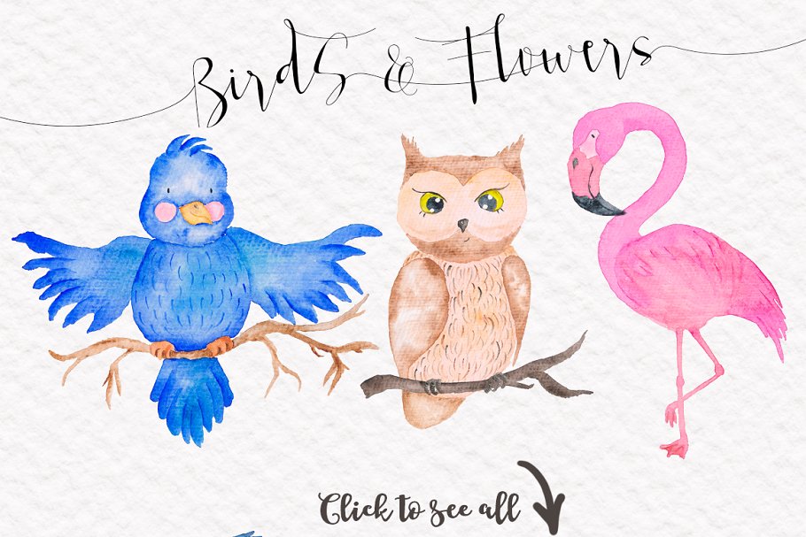 可爱鸟类小鸟水彩剪贴画 Cute Birds Watercolor Set插图(2)