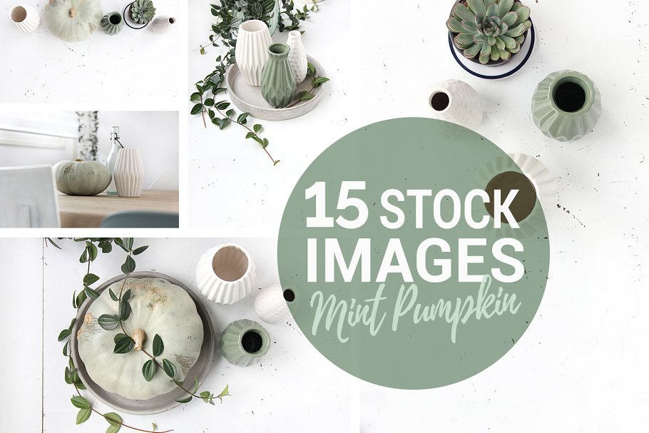 绿色盆栽植物纹理 Mint pumpkin, Styled stock photos插图