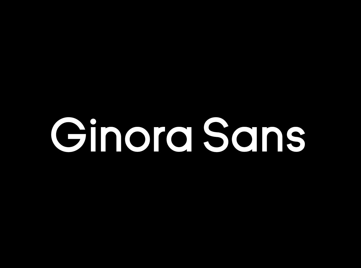 巴西设计师杰作无衬线英文字体家族 Ginora Sans Font Family插图