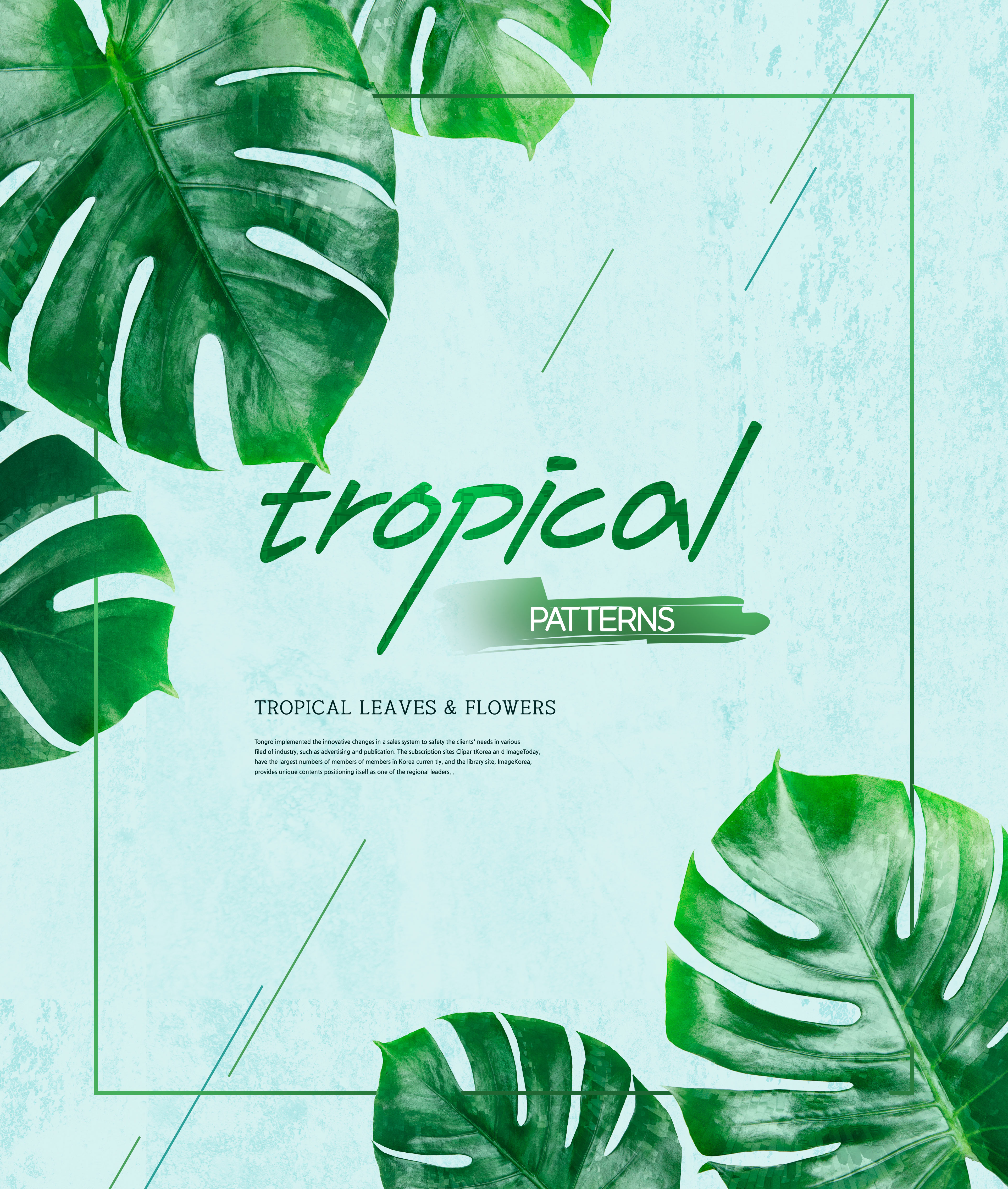 热带植物叶子&花卉图案海报设计素材插图(3)