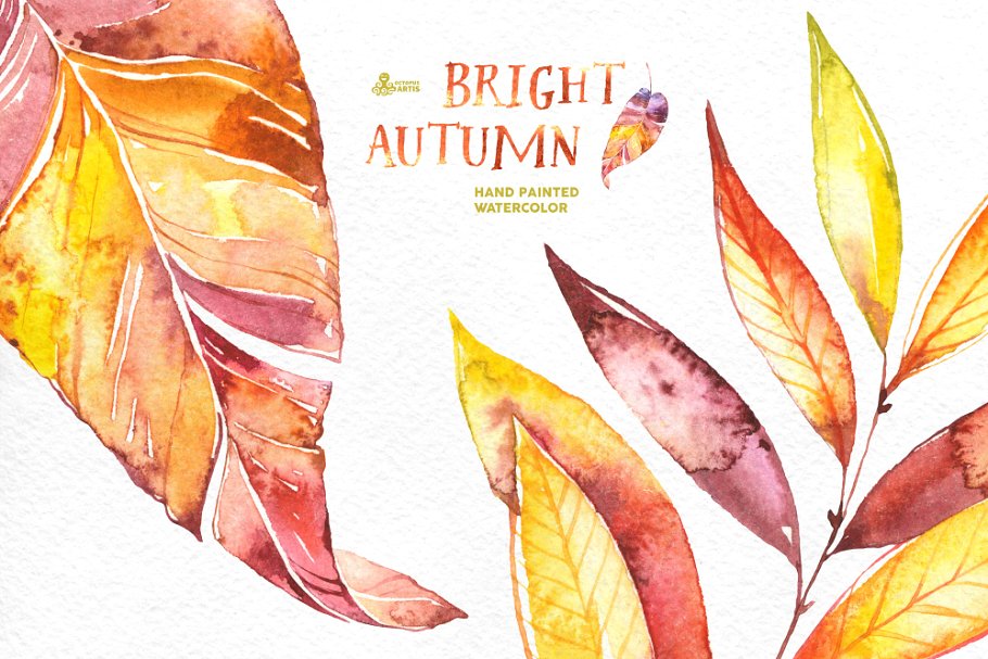 灿烂的秋天水彩插画收藏 Bright Autumn. Watercolor collection插图(4)
